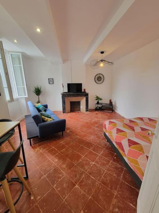 Graulhet Appartement De Charme Avec Tomettes Et Parquet מראה חיצוני תמונה