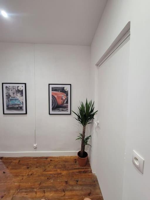 Graulhet Appartement De Charme Avec Tomettes Et Parquet מראה חיצוני תמונה