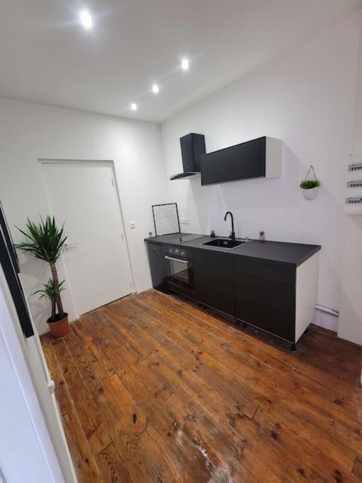Graulhet Appartement De Charme Avec Tomettes Et Parquet מראה חיצוני תמונה