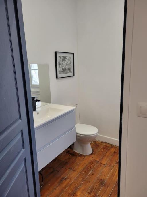 Graulhet Appartement De Charme Avec Tomettes Et Parquet מראה חיצוני תמונה